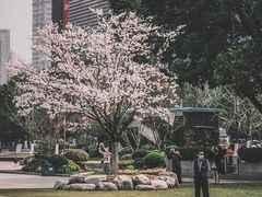 -西北湖绿化广场