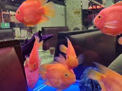 -新辉港式茶餐厅(北栅店)