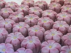 -稻香村(观前街店)