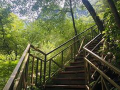 -青峰峡国家森林公园