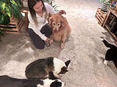 -自由生长植物工作室(深港花卉中心店)
