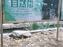 -东升八家郊野公园