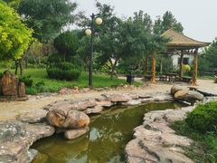 -大连蚂蚁岛度假区