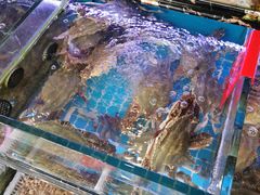 -金海湾海鲜排档(朱家尖店)