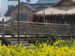 -乌村