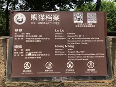-都江堰中华大熊猫苑