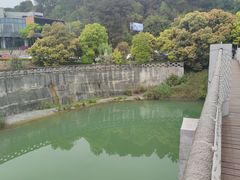 -铁山坪森林公园