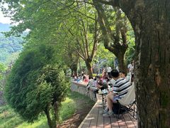 -秦岭终南山世界地质公园翠华山景区