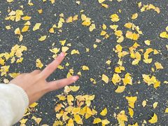 -南京眼步行桥