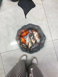 -巡鱼道·室内垂钓·渔具店