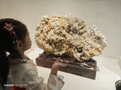 -安徽省地质博物馆