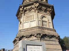 -云岗森林公园