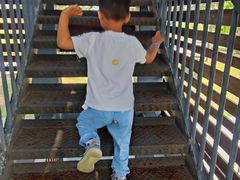 -春花秋色城市公园