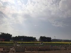 -光明小镇欢乐田园