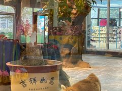 -海合安成都极地海洋公园