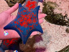 -沈阳海洋探索中心