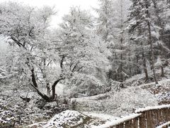 -硗碛藏寨·神木垒景区