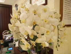 -养月堂中医养生月子会所(中心妇产店)