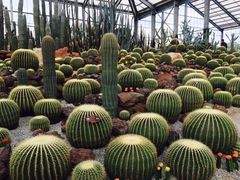 -南通洲际绿博园