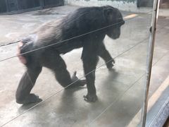 -辛玛王国游乐园