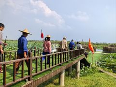 -洪湖生态旅游区