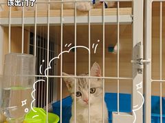 -猫宠乐园·专业洗护