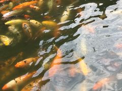 -荆川公园