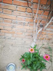 -醉库庄园·宴会厅·草坪婚礼场地