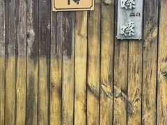 -南汇新场正宗水蜜桃采摘