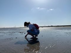 -南汇嘴观海公园