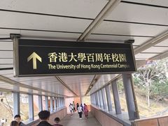 -香港大学