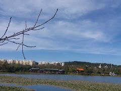 -洛龙公园