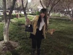 -西北湖绿化广场