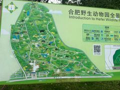 -合肥野生动物园