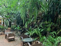-Fern Forest Cafe