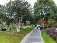 -桃花岭景区