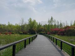 -长广溪湿地公园