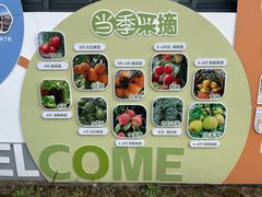 -菊园百果园