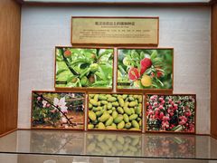 -南越王博物院(王宫展区)
