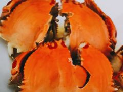 -海胆公主南澳岛美食海鲜