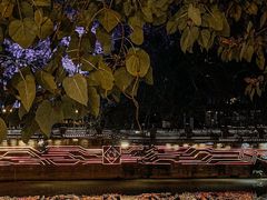 -成都市活水公园