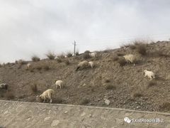 -敦煌雅丹国家地质公园