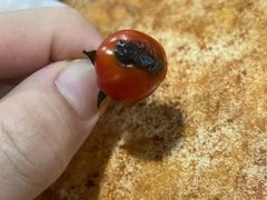-相约海中金海鲜肥牛自助烤肉火锅(上下九店)