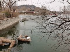 -南翠屏公园