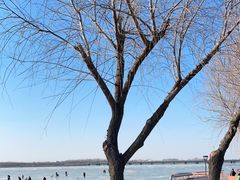 -丁香湖公园