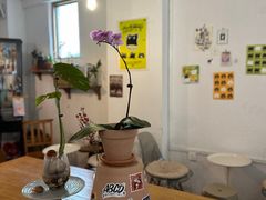 -ABCD咖啡屋(妇幼店)