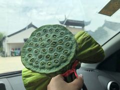 -雨花胜境
