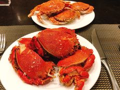 -美食汇·海鲜自助餐·家庭聚会·商务宴请(青秀万达文华店)