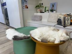 -拜鲁耶动物诊疗中心·宠家动物医院