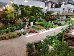 -双季花艺园艺市场(浦东店)